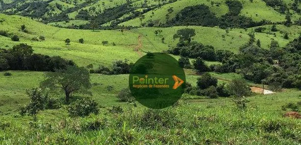 Fazenda/Sítio à venda, 4200000m² no , São Luíz do Norte