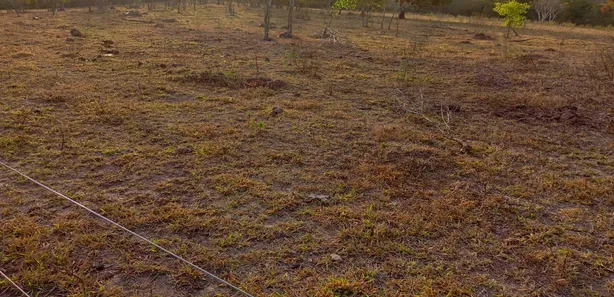 Fazenda/Sítio com 2 Quartos à venda, 80m² no , Padre Bernardo