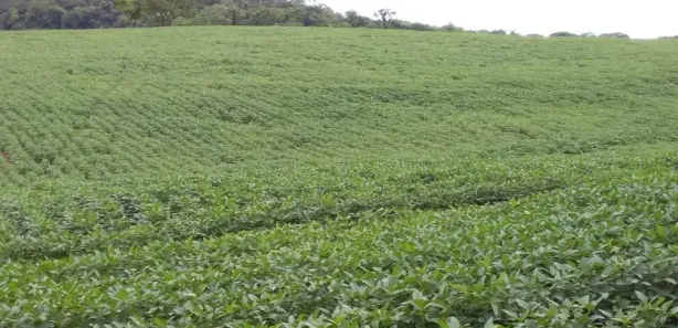 Fazenda/Sítio à venda, 5008300m² no Centro, Leopoldo de Bulhões