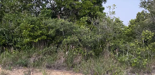 Lote/Terreno à venda, 500m² no , Porto Seguro