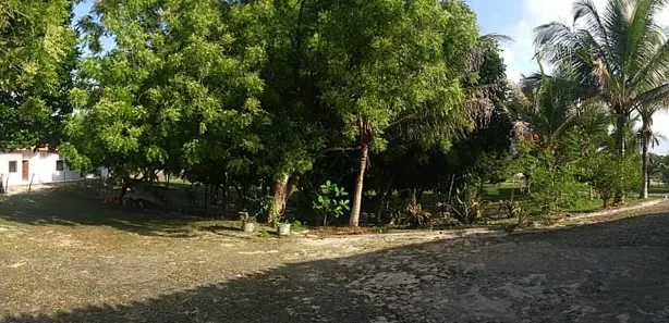 Fazenda/Sítio com 5 Quartos à venda, 12500m² no , Humberto de Campos