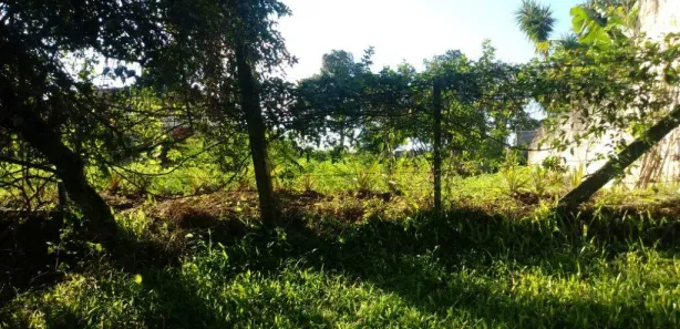 Lote/Terreno à venda, 730m² no Santo Onofre, Viamão