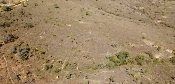 Lote/Terreno à venda, 20013m² no , Cordisburgo