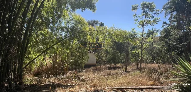 Fazenda/Sítio com 3 Quartos à venda, 169m² no Abadiânia, Abadiânia
