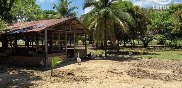 Fazenda/Sítio à venda, 4680000m² no Centro, Bonfim