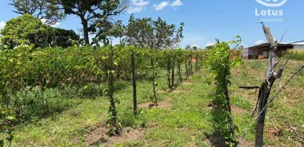 Fazenda/Sítio à venda, 4680000m² no Centro, Bonfim