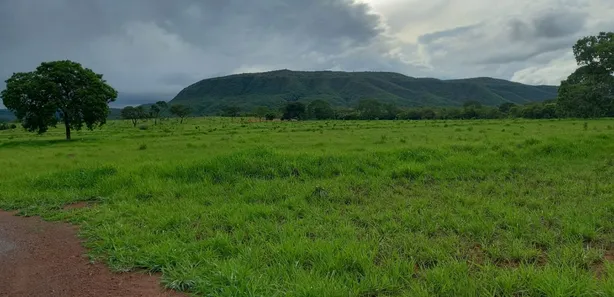 Fazenda/Sítio à venda no , Buritis