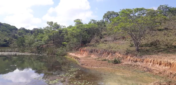 Lote/Terreno à venda, 20000m² no , Araçaí