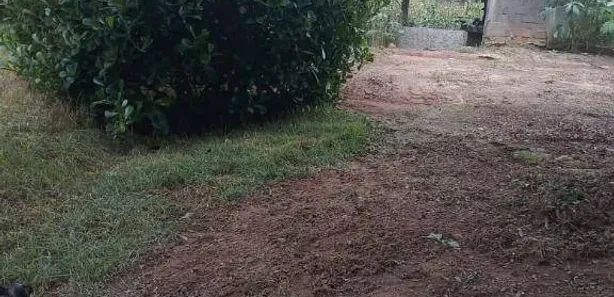 Fazenda/Sítio com 2 Quartos à venda, 90m² no , Gameleira de Goiás
