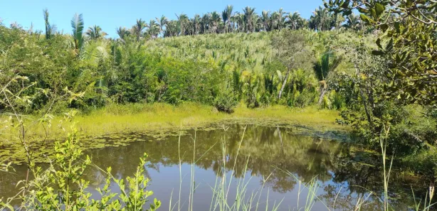 Fazenda/Sítio com 3 Quartos à venda, 1890000m² no , Coroatá