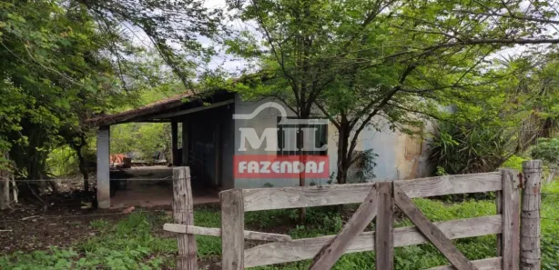Fazenda/Sítio à venda, 2468000m² no , Jaraguá