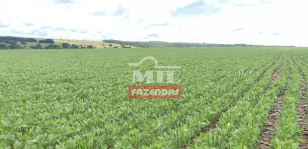 Fazenda/Sítio à venda, 20000m² no , Gameleira de Goiás