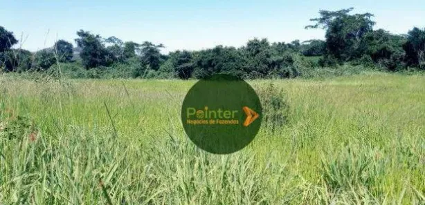 Fazenda/Sítio à venda, 5953200m² no , Niquelândia