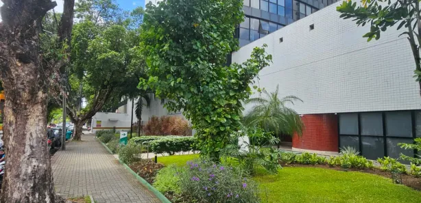 Sala Comercial para alugar, 33m² no Boa Vista, Recife