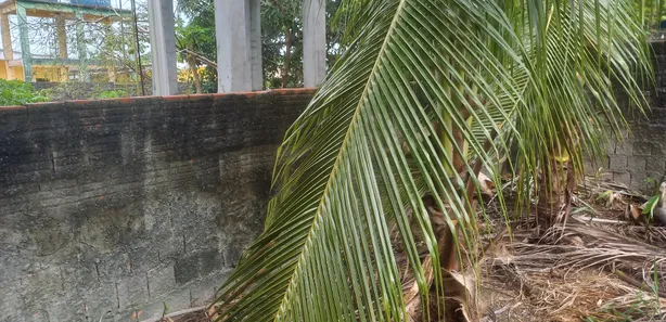 Lote/Terreno à venda, 330m² no Flores, Manaus
