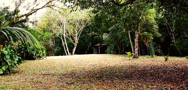 Fazenda/Sítio com 1 Quarto à venda, 12900m² no , Antonina