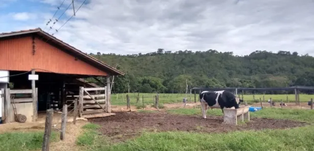 Fazenda/Sítio com 4 Quartos à venda, 1137400m² no , 
