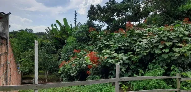 Lote/Terreno à venda, 600m² no Tarumã, Manaus