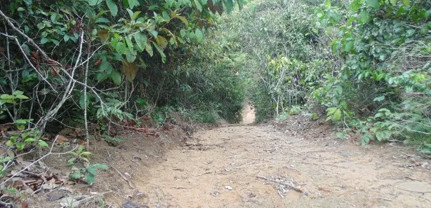 Lote/Terreno à venda, 230000m² no Puraquequara, Manaus