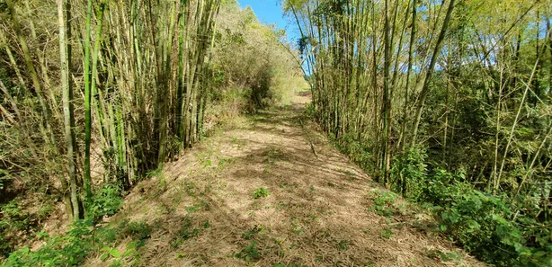 Fazenda/Sítio com 4 Quartos à venda, 450m² no Recanto dos Paratis, Casimiro de Abreu