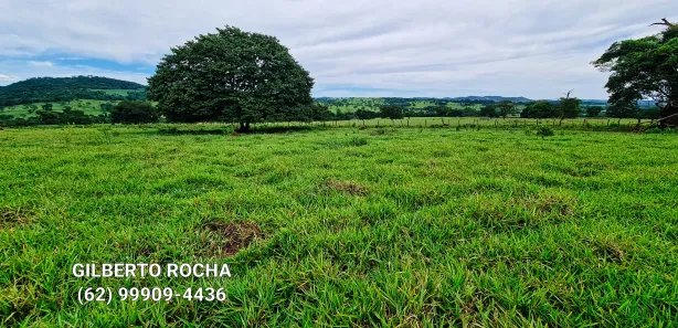 Fazenda/Sítio à venda, 968000m² no Área Rural, Goianira