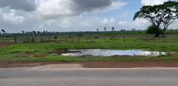 Fazenda/Sítio à venda, 6000m² no Zona Rural, Coroatá