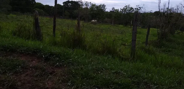 Fazenda/Sítio à venda, 49000m² no Área Rural de Valparaíso de Goiás, Valparaíso de Goiás