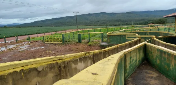Fazenda/Sítio com 4 Quartos à venda, 1897m² no , Niquelândia