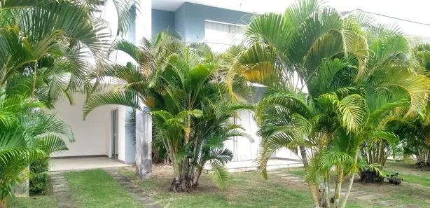 Casa de Condomínio com 4 Quartos para alugar, 150m² no Buraquinho, Lauro de Freitas