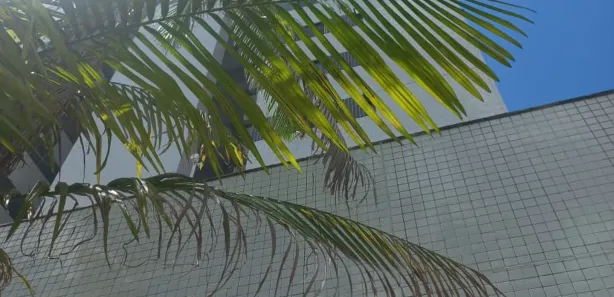 Apartamento com 2 Quartos para alugar, 48m² no Boa Viagem, Recife