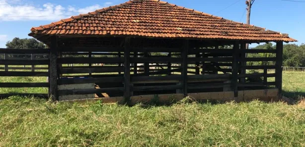 Fazenda/Sítio à venda no , Buritis