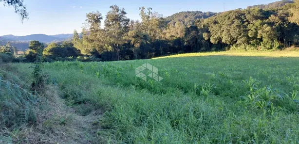 Fazenda/Sítio com 1 Quarto à venda, 20000m² no Monte Verde, Farroupilha