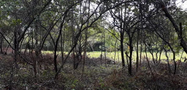 Lote/Terreno à venda, 20000m² no , Araçaí