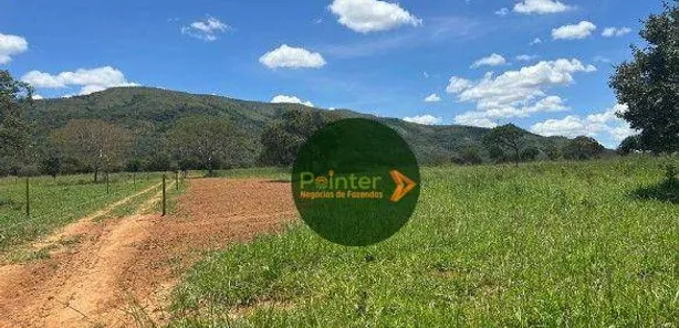 Fazenda/Sítio à venda, 480000m² no , Buritis