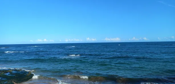 Apartamento com 1 Quarto para alugar, 40m² no Pituba, Salvador