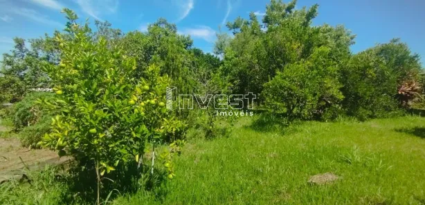 Lote/Terreno à venda, 440m² no Centro, Vera Cruz