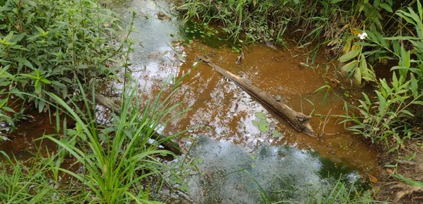 Lote/Terreno à venda, 20000m² no , Fortuna de Minas