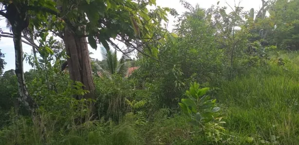 Lote/Terreno à venda, 260m² no Cassange, Salvador