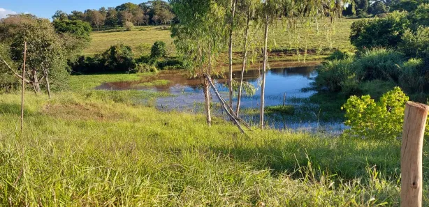 Fazenda/Sítio com 2 Quartos à venda, 64130m² no , Nerópolis