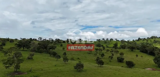 Fazenda/Sítio à venda, 20000m² no Vila Mutirão, Inhumas