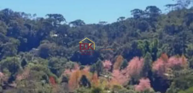 Casa com 3 Quartos para alugar, 300m² no Centro, Santo Antônio do Pinhal