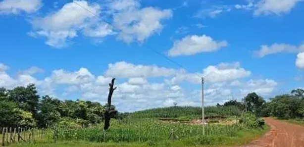 à venda, 726000m² no Paus de chapada, José de Freitas