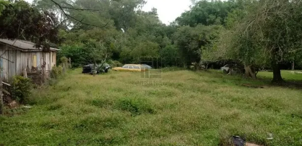 Lote/Terreno à venda, 1502m² no Boi Morto, Santa Maria
