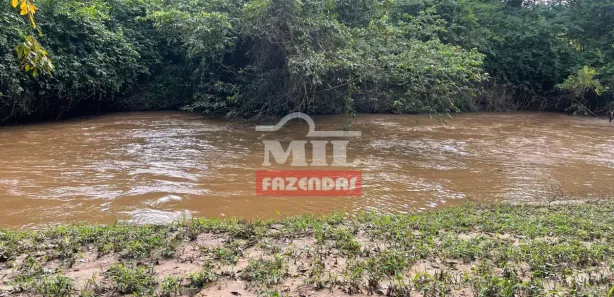Fazenda/Sítio à venda, 500m² no , São Francisco de Goiás