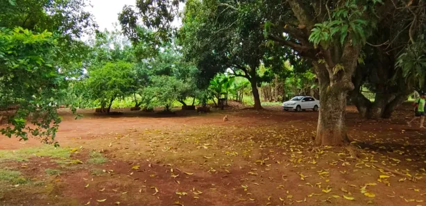 Fazenda/Sítio à venda, 23000m² no Condomínio Mestre D'Armas, Brasília