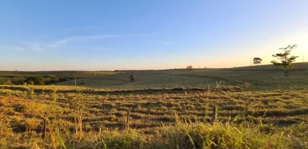 Fazenda/Sítio com 3 Quartos à venda, 10000m² no , Cafelândia