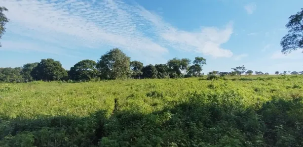 Fazenda/Sítio à venda, 134500m² no Setor Central, Guapó