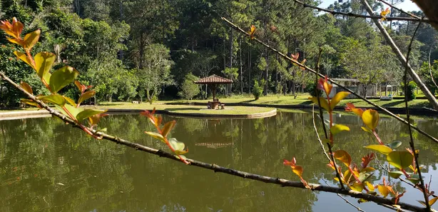 Fazenda/Sítio com 3 Quartos para alugar, 200m² no Centro, São Lourenço da Serra