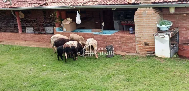 Fazenda/Sítio à venda, 193600m² no , Leopoldo de Bulhões