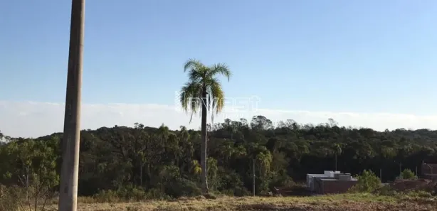 Lote/Terreno à venda, 327m² no João Alves, Santa Cruz do Sul